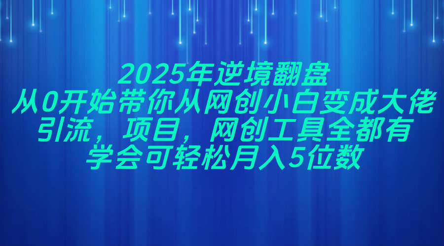 2025年逆境翻盘，从0开始带你从网创小白变成大佬，引流，项目，网创工…-星火轻创