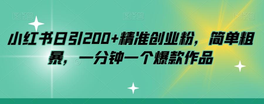 小红书日引200+精准创业粉，简单粗暴，一分钟一个爆款作品【揭秘】-星火轻创