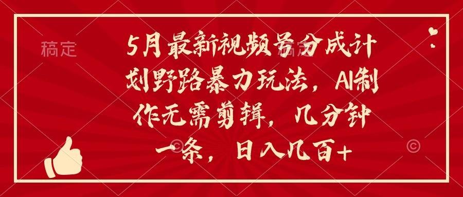 5月最新视频号分成计划野路暴力玩法，ai制作，无需剪辑。几分钟一条，…-星火轻创