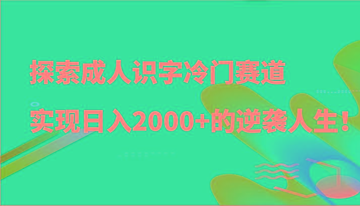 探索成人识字冷门赛道,实现日入2000+的逆袭人生!-星火轻创