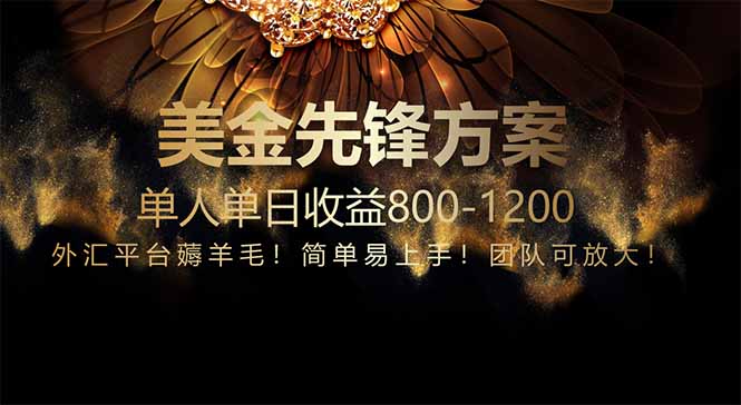 免费技术！小众赛道！一年布局抵三年努力，每日800+-星火轻创