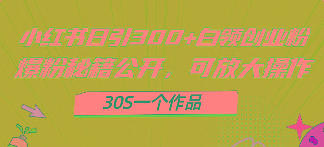 小红书日引300+高质白领创业粉，可放大操作，爆粉秘籍！30s一个作品-星火轻创