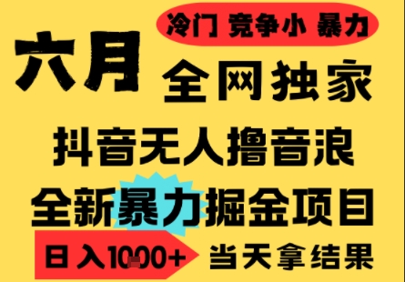 25年6月高爆抖音无人直播最新撸音浪掘金项目，小白可做，无脑日入1k+，门槛低可批量矩阵【揭秘】-星火轻创