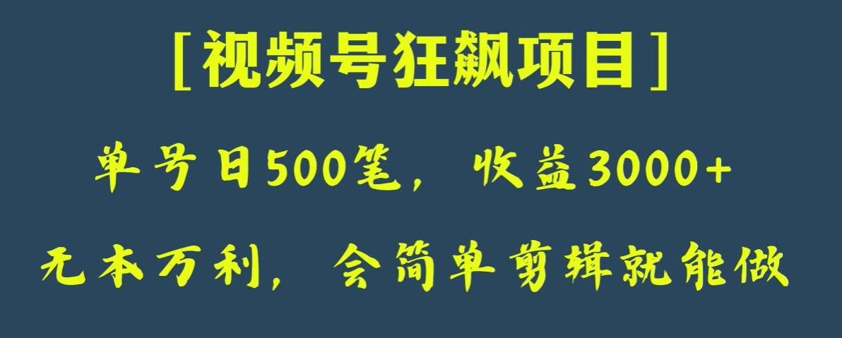 日收款500笔，纯利润3000+，视频号狂飙项目，会简单剪辑就能做【揭秘】-星火轻创
