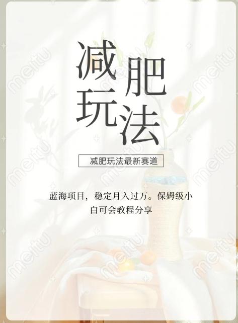 减肥流量主新玩法，轻松月入1W，可矩阵操作收入翻倍-星火轻创