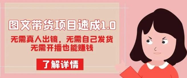 图文带货项目速成1.0：无需真人出镜，无需自己发货，无需开播也能赚钱！-星火轻创