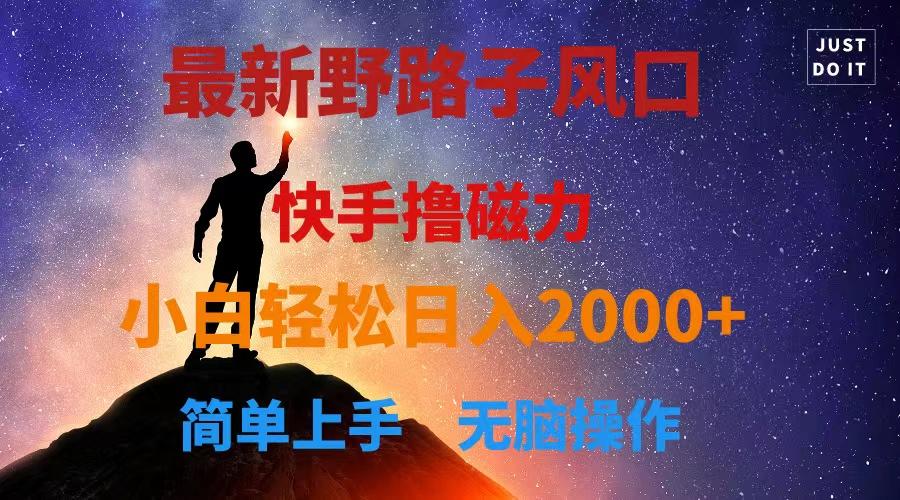 最新风口！快手撸磁力，野路子，小白无脑操作日入2000+-星火轻创