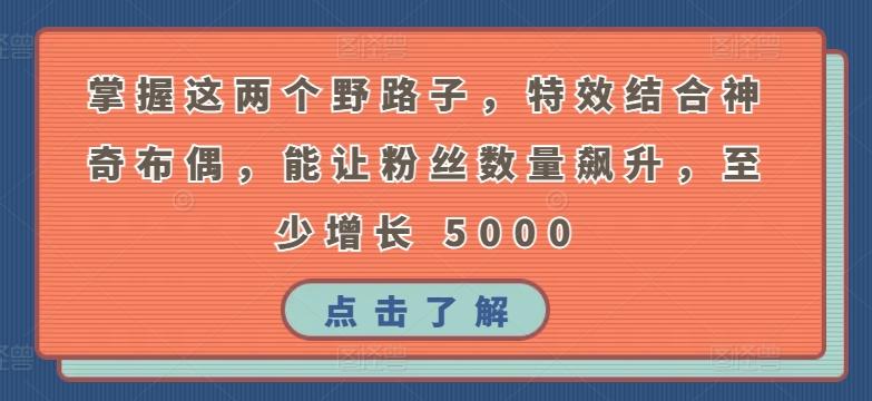 掌握这两个野路子，特效结合神奇布偶，能让粉丝数量飙升，至少增长 5000【揭秘】-星火轻创