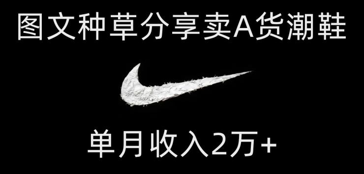 靠图文种草分享卖A货潮鞋，每天一小时，单月收入2万+【揭秘】-星火轻创