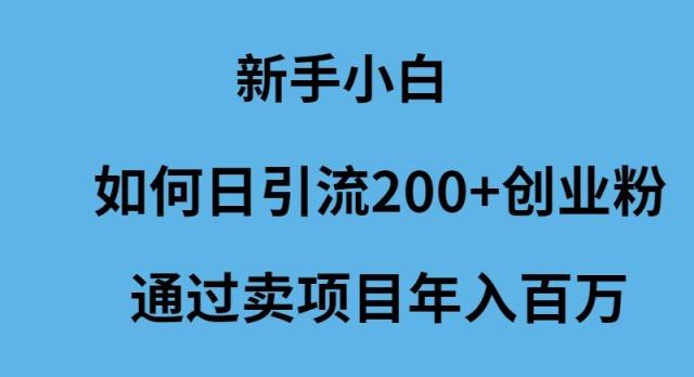 (9668期)新手小白如何日引流200+创业粉通过卖项目年入百万-星火轻创