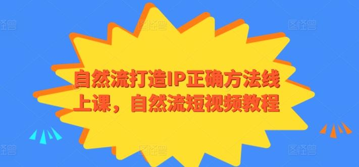 自然流打造IP正确方法线上课，自然流短视频教程-星火轻创