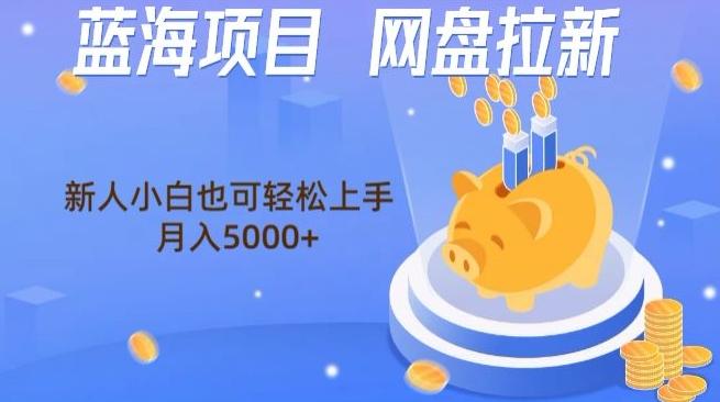蓝海项目网盘拉新，新人小白也可操作，每月收入5000+-星火轻创
