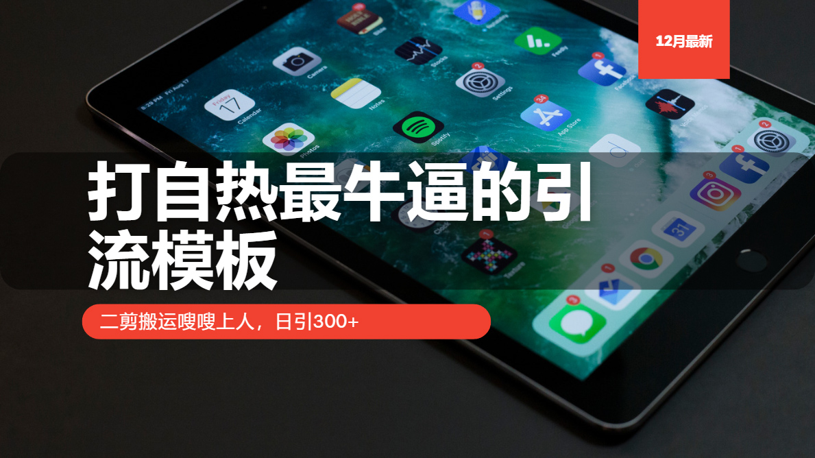 打自热最牛逼的引流模板，二剪搬运嗖嗖上人，日引300+-星火轻创