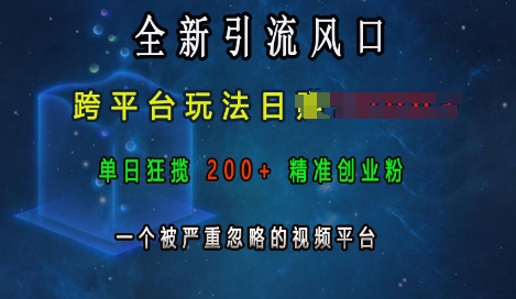 全新引流风口，跨平台玩法日入上k，单日狂揽200+精准创业粉，一个被严重忽略的视频平台-星火轻创