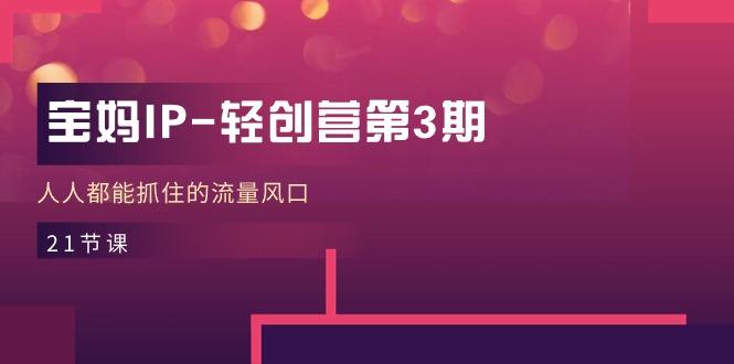 宝妈IP-轻创营第3期，人人都能抓住的流量风口(21节课-星火轻创