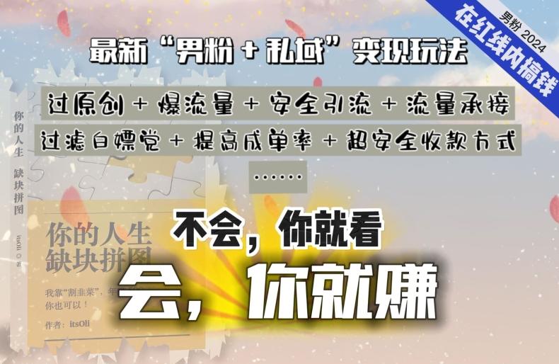 2024，“男粉+私域”还是最耐造、最赚、最轻松、最愉快的变现方式【揭秘】-星火轻创