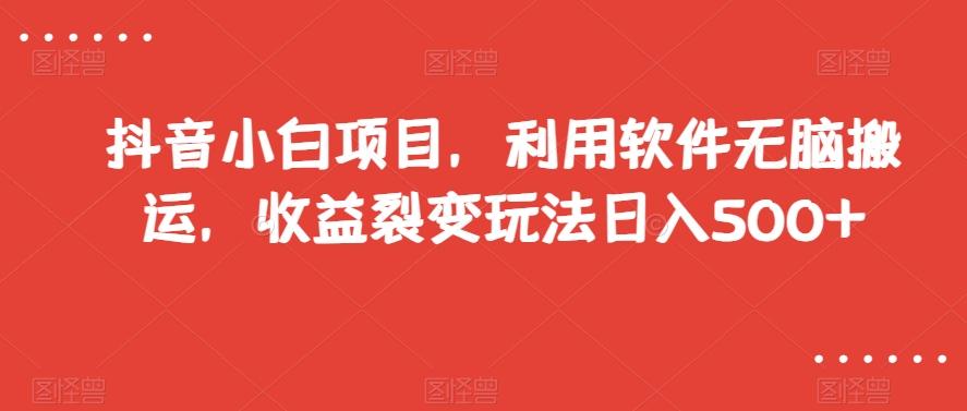 抖音小白项目，利用软件无脑搬运，收益裂变玩法日入500+【揭秘】-星火轻创