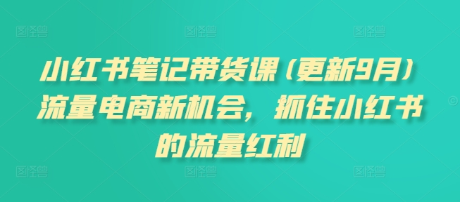 小红书笔记带货课(更新25年1月)流量电商新机会，抓住小红书的流量红利-星火轻创