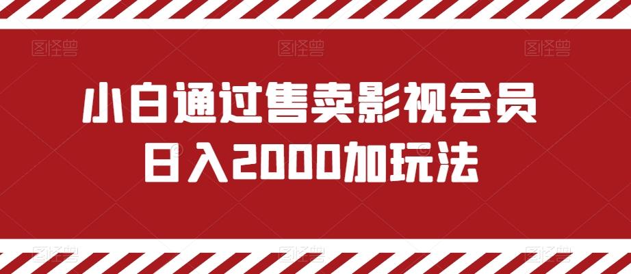 小白通过售卖影视会员日入2000加玩法-星火轻创