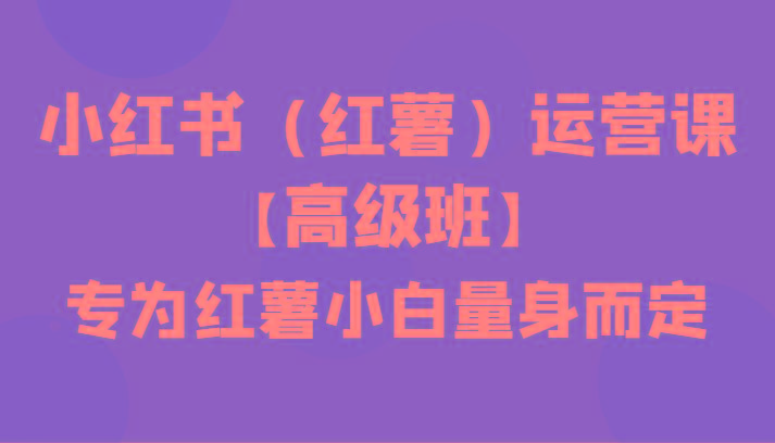 小红书(红薯)运营课【高级班】，专为红薯小白量身而定(42节课)-星火轻创