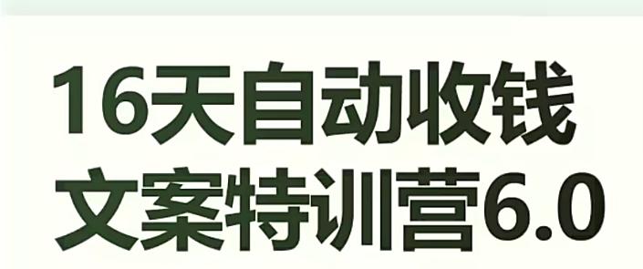 16天自动收钱文案特训营6.0，学会儿每天自动咔咔收钱-星火轻创
