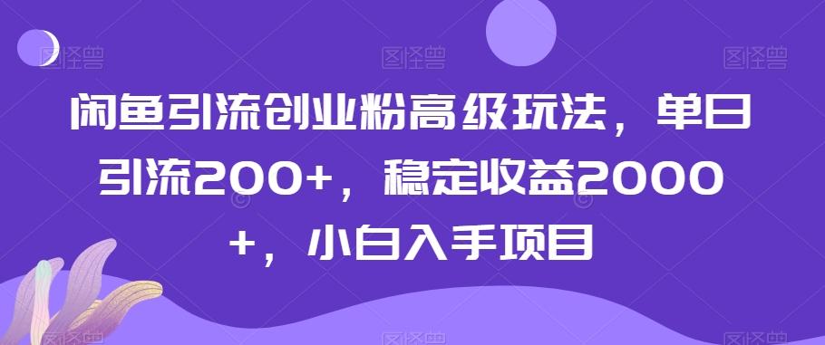 闲鱼引流创业粉高级玩法，单日引流200+，稳定收益2000+，小白入手项目-星火轻创