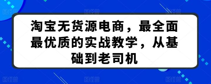淘宝无货源电商，最全面最优质的实战教学，从基础到老司机-星火轻创