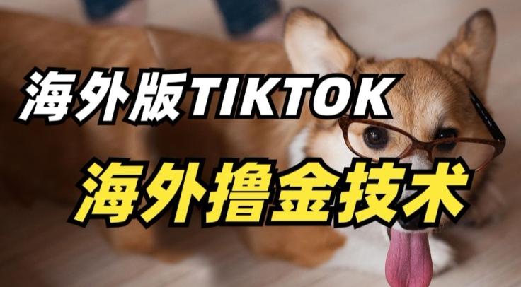 抖音海外版tiktok撸金技术，这个风口行业，赚钱真的不难【揭秘】-星火轻创