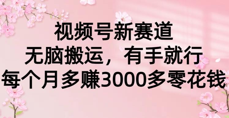(9278期)视频号新赛道，无脑搬运，有手就行，每个月多赚3000多零花钱-星火轻创