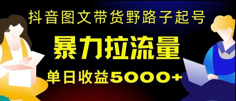 抖音图文带货暴力起号，单日收益5000+，野路子玩法，简单易上手，一部手机即可【揭秘】-星火轻创