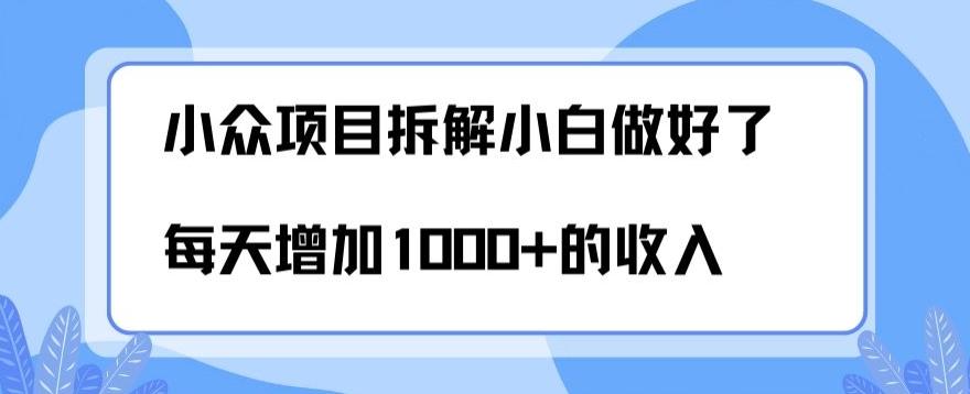 小众项目拆解，小白做好了每天可增加1000多的收入-星火轻创