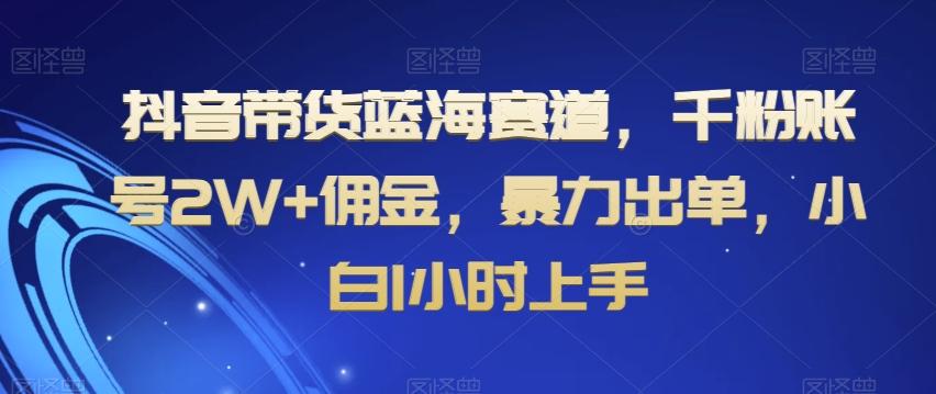 抖音带货蓝海赛道，千粉账号2W+佣金，暴力出单，小白1小时上手【揭秘】-星火轻创