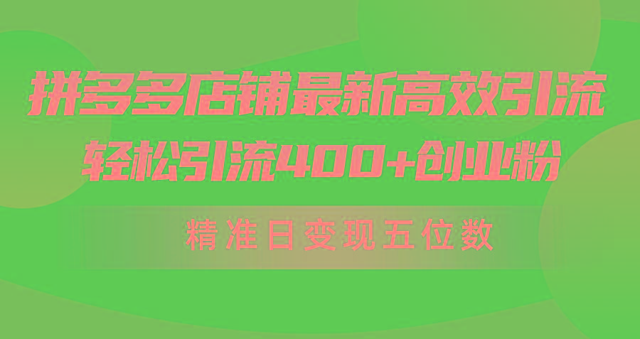 (10041期)拼多多店铺最新高效引流术，轻松引流400+创业粉，精准日变现五位数！-星火轻创