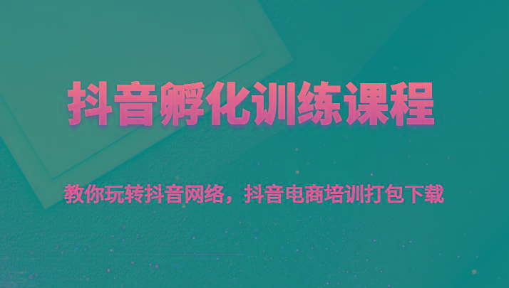 抖音孵化训练课程-教你玩转抖音网络，抖音电商培训打包下载-星火轻创