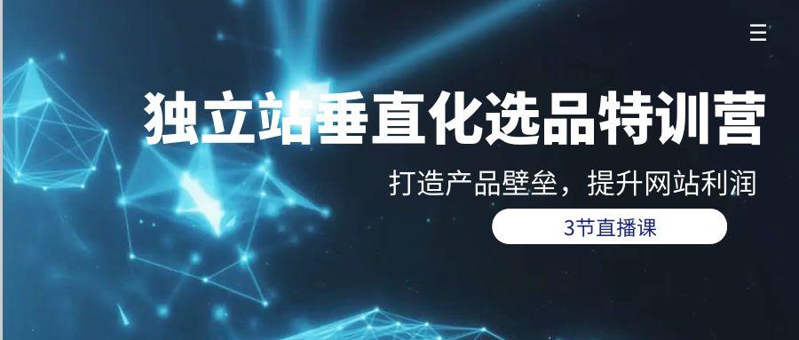 (9925期)独立站-垂直化选品训练营，打造产品壁垒，提升网站利润(3节直播课)-星火轻创