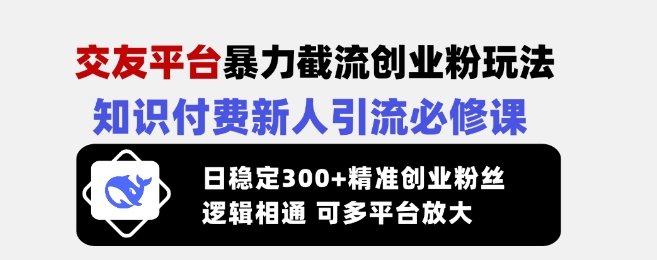 交友平台暴力截流创业粉玩法，知识付费新人引流必修课，日稳定300+精准创业粉丝，逻辑相通可多平台放大-星火轻创