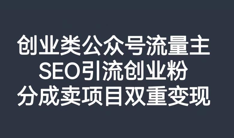 创业类公众号流量主，SEO引流创业粉，分成卖项目双重变现【揭秘】-星火轻创