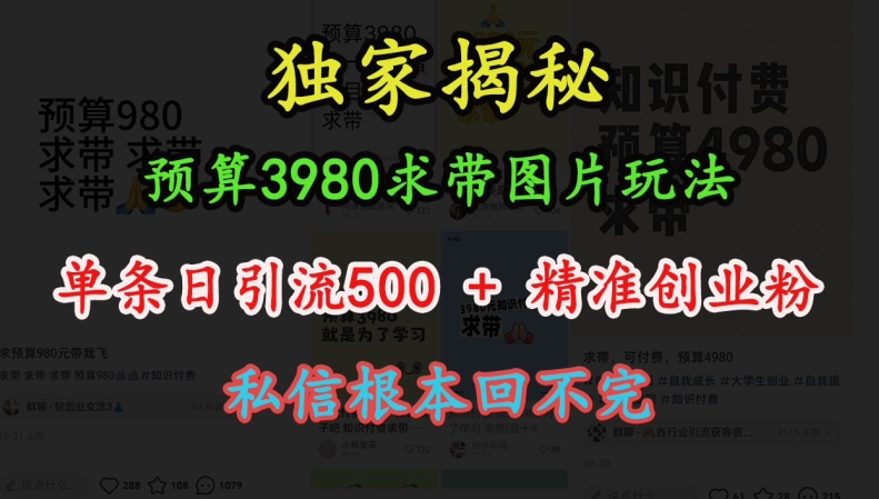 预算3980求带 图片玩法，单条日引流500+精准创业粉，私信根本回不完-星火轻创