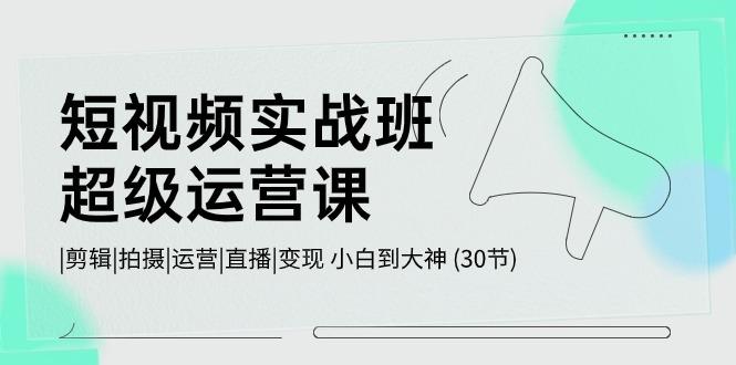 短视频实战班超级运营课 |剪辑|拍摄|运营|直播|变现 小白到大神 (30节)-星火轻创