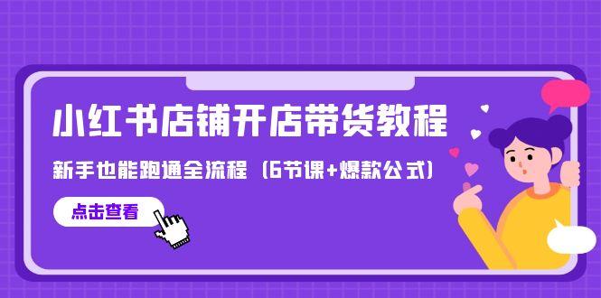 (9883期)最新小红书店铺开店带货教程，新手也能跑通全流程(6节课+爆款公式)-星火轻创