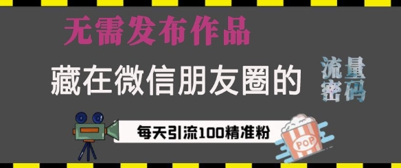 藏在微信朋友圈的流量密码，无需发布作品，单日引流100+精准创业粉【揭秘】-星火轻创