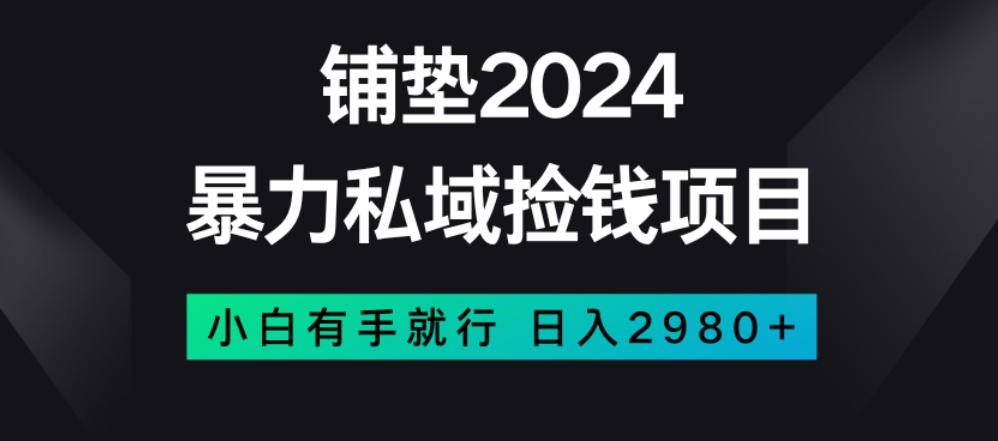 暴力私域捡钱项目，小白无脑操作，日入2980【揭秘】-星火轻创