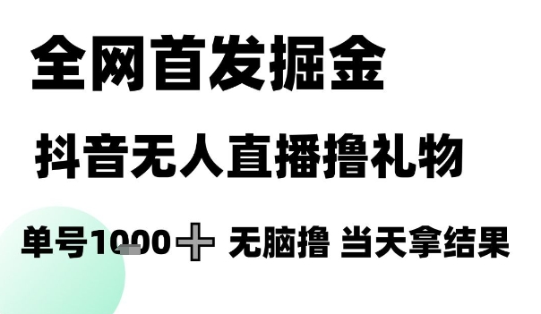 全网首发掘金抖音无人直播撸礼物，单号1k +无脑撸，当天拿结果【揭秘】-星火轻创