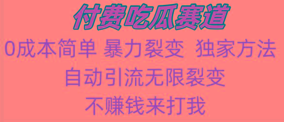 吃瓜付费赛道，暴力无限裂变，0成本，实测日入700+！！！-星火轻创