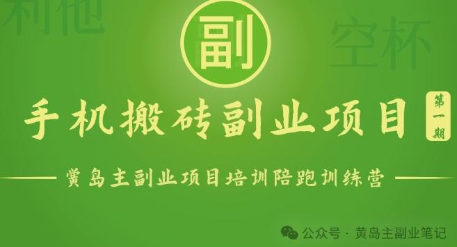 手机搬砖小副业项目训练营1.0，实测1小时收益50+，一部手机轻松日入100+-星火轻创