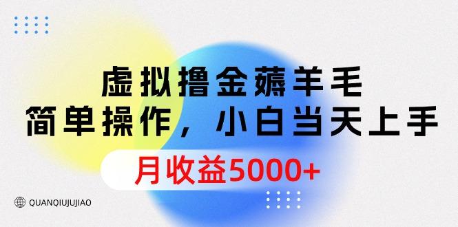 (9864期)虚拟撸金薅羊毛，简单操作，小白当天上手，月收益5000+-星火轻创