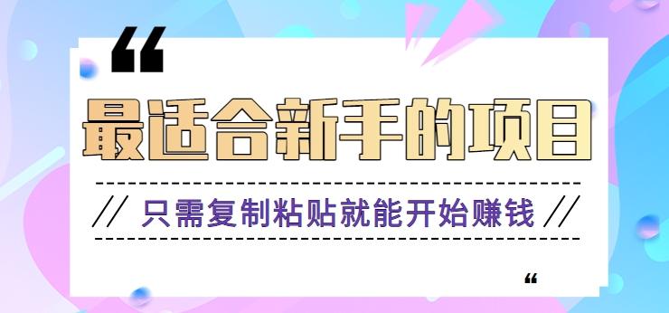 2024最适合新手操作的项目,新手小白只需复制粘贴就能开始赚钱【视频教程+软件】-星火轻创