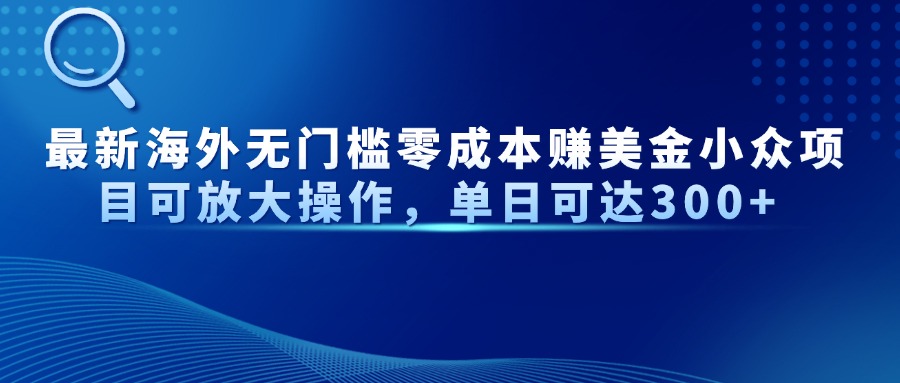 最新海外无门槛零成本赚美金小众项目可放大操作，单日可达300+-星火轻创