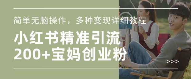 小红书混剪日引200+宝妈创业粉，简单无脑操作，多种变现详细教程-星火轻创