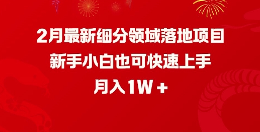 2月最新细分领域落地项目，新手小白也可快速上手，月入1W-星火轻创